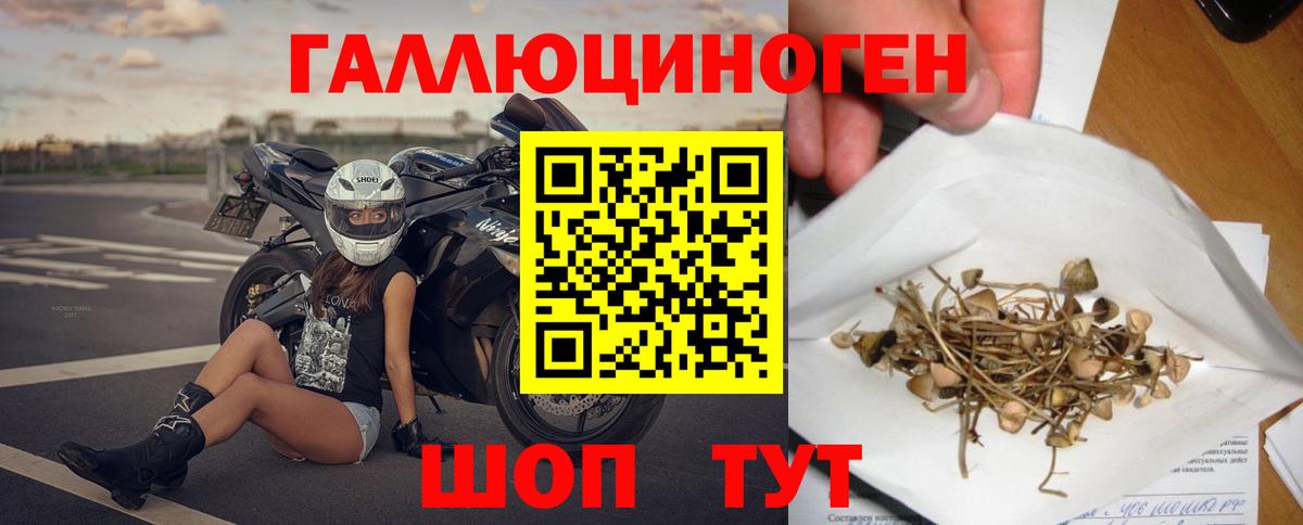 сколько стоит  Псилоцибиновые грибы Cubensis  Вход с VPN  Троицк 
